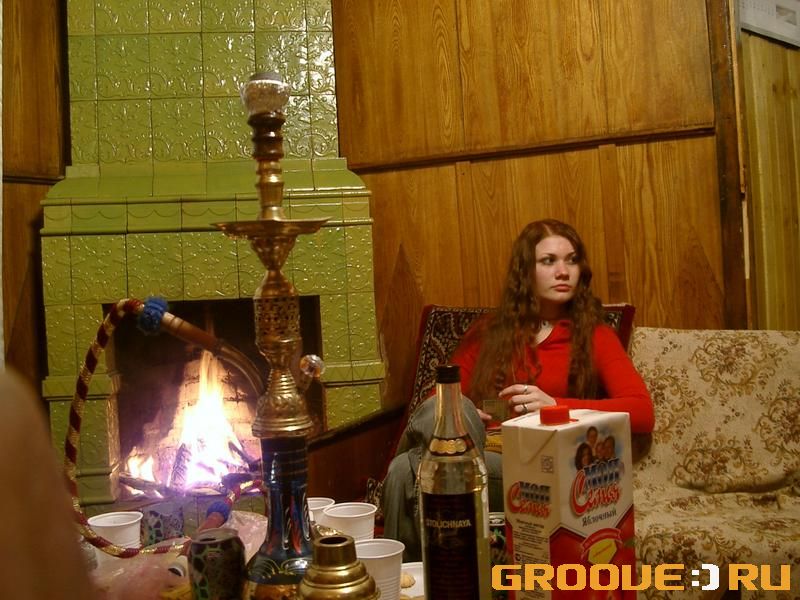 «[lavan] ,   ,  Ginger»