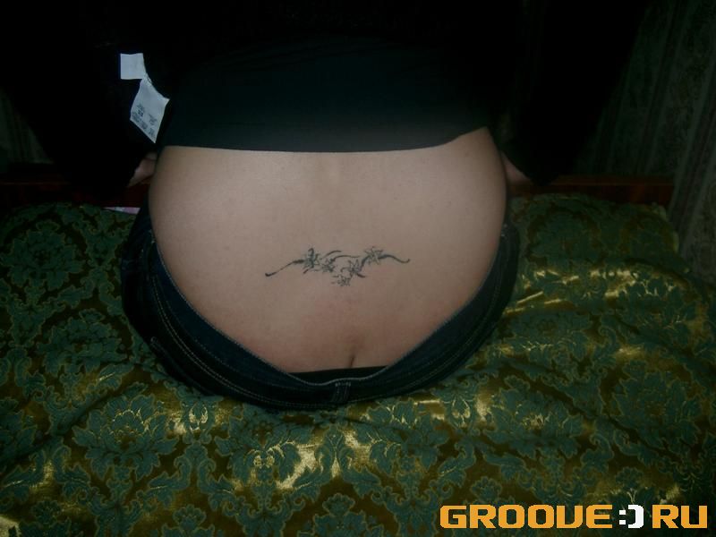 «[lavan]       ,       »