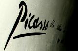 photos/2008-02/TN_Picasso031.jpg