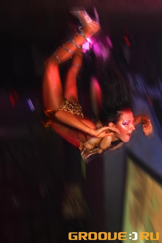 «Armand van Helden_Gaudi_010808»