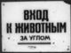 титбитка